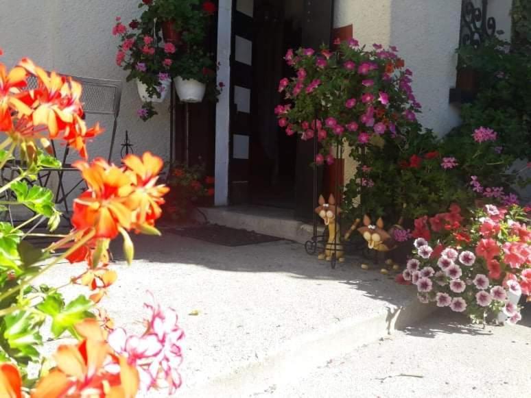 Sunset House Chambres De Hotes Magnac-Laval Luaran gambar